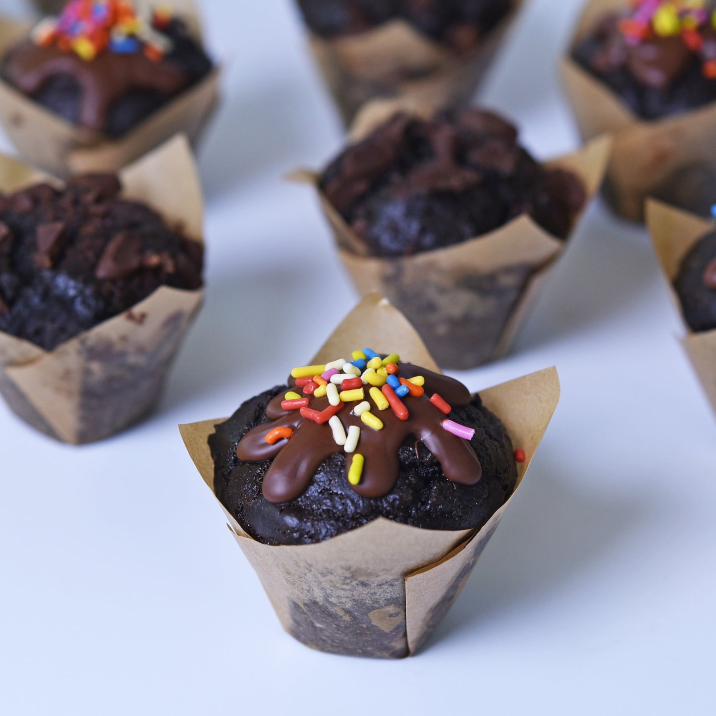 Double Chocolate Sprinkle Sundae-  12 pack (Port Washington Delivery)